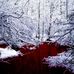 Profile Picture of Devin Ashbaugh (@devin.ashbaugh.568) on Facebook