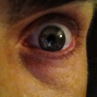 Profile Picture of Steve Finkelstein (@Yentafish) on Twitter
