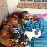 Profile Picture of Richardt (@pretorius13) on Instagram