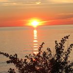 Mavis Wallace - Instagram Profile Picture of Mavis Wallace (@maviswallace9) on Instagram