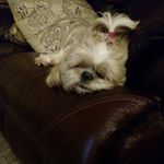 Profile Picture of Joyce Lightfoot (@joyce.lightfoot.61) on Instagram