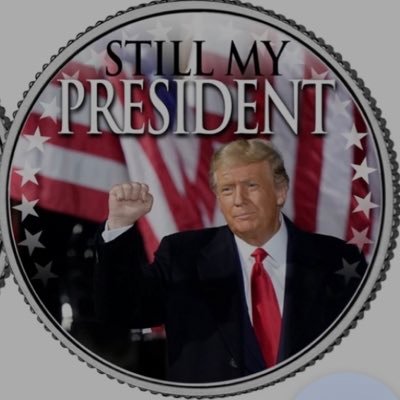 Profile Picture of Stolen Election 2020-Joe Kazilionis (@JoeKTheOldMan) on Twitter