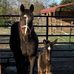 Profile Picture of Debbie Warnick (@debbie.warnick.3) on Facebook