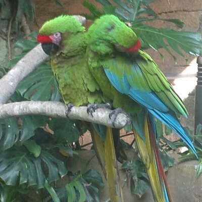 Profile Picture of Josh Varughese (@varughese_josh) on Twitter