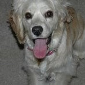 Profile Picture of David Henne (@dhenne23) on Youtube