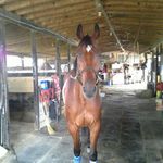 Profile Picture of Craig Malott (@pockets_111) on Instagram