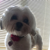 Profile Picture of Eden MacTavish (@edenmactavish658) on Youtube