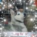 Profile Picture of Kim Keezer (@keezer93) on Facebook