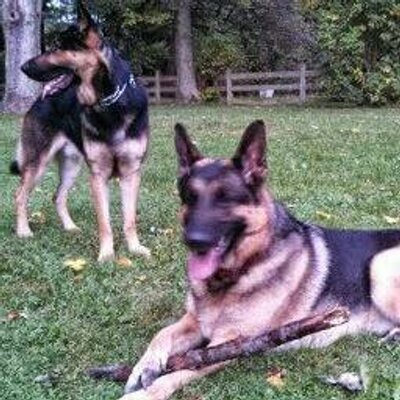 Anthony Lis - Twitter Profile Picture of Anthony Lis (@d712c4d0d904474) on Twitter