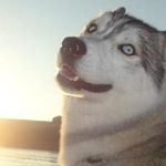 Profile Picture of Lee Frantzs (@leefrantzs) on Instagram