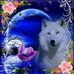 Profile Picture of Ana Ines Ledesma (@anaines.ledesma.3) on Facebook