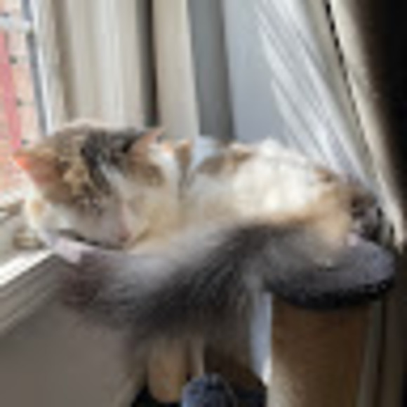 Profile Picture of Amber Pfoff (@ambrcatherine2) on Poshmark