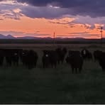 Profile Picture of Christopher Dykema (@christopher.dykema.2025) on Facebook