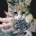 Profile Picture of Rixey Ann (@rixeyann) on Pinterest