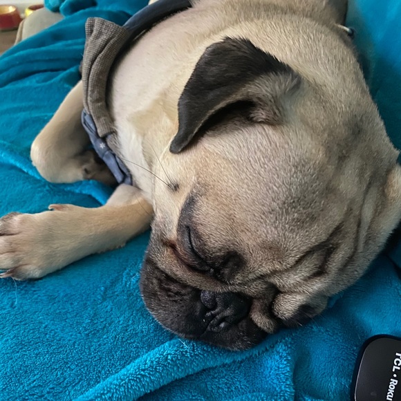 Profile Picture of Amanda Chambers (@amandachambe806) on Poshmark