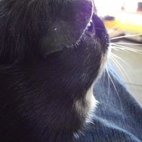 Profile Picture of Nita Cook (@nita-cook-2) on Quora