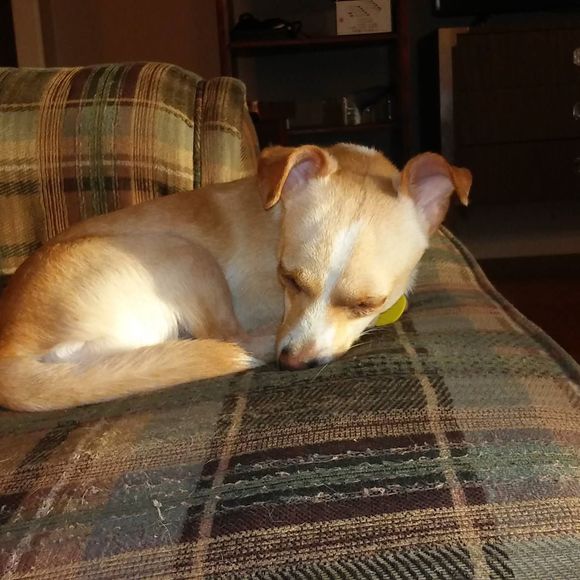 Profile Picture of Kim Bline (@kjp93b) on Poshmark