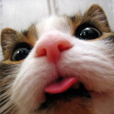 Profile Picture of Daniel Carrasquillo (@Daniel1070) on Twitter