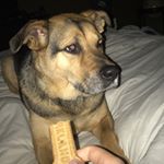 Profile Picture of brady.mathieson (@brady.mathieson) on Instagram