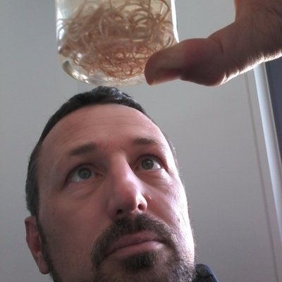 Profile Picture of Eric Morgan (@profericmorgan) on Twitter