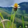 Profile Picture of Kenneth Phillip (@@kennethphillip1) on Tiktok
