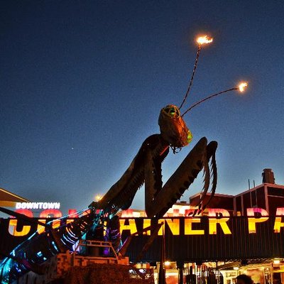 Profile Picture of Julie Lary (@rajalary) on Twitter