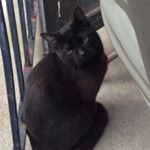 Profile Picture of Dustin Joseph Ridge (@dustinridged) on Instagram