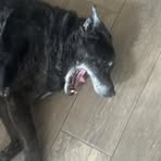 Profile Picture of Benjamin Casler (@bcasler) on Facebook