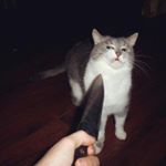 Profile Picture of keith (@k3ithsteele) on Instagram
