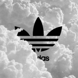 Profile Picture of Freddy Olmedo (@freddyolmedo507) on Twitter