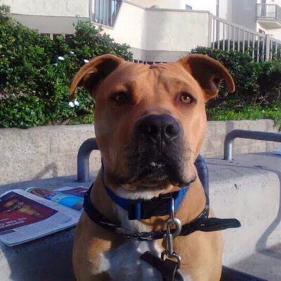 Profile Picture of James Parrillo (@jwparrillo66) on Twitter