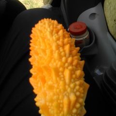 Profile Picture of Juan Silvera (@juansilvera19) on Twitter