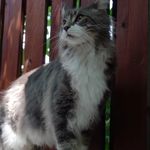 Profile Picture of Robert siters (@robertsiters99) on Instagram