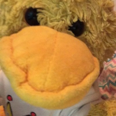 Profile Picture of Tim Tang (@Timtang41734297) on Twitter