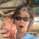 Profile Picture of Kimberly McWilliams (@kymshear) on Instagram