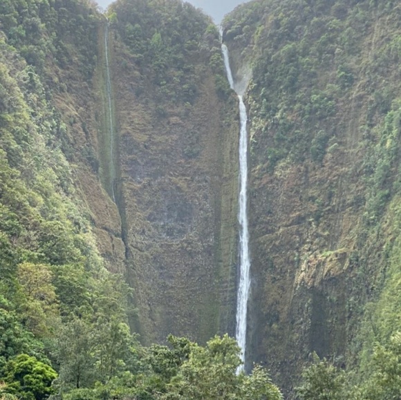 Profile Picture of Jo ann Kimura (@joannkimura76) on Poshmark