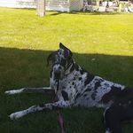 Profile Picture of Bart Kennedy (@mailman11966) on Instagram