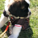 Profile Picture of Barker Mayfield Monte (@barkerbarkermayfield) on Instagram