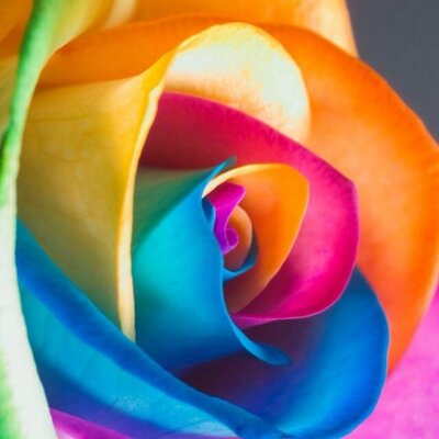 Profile Picture of Hailey Bryan (@haileybug2051) on Twitter