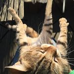 Profile Picture of Jimmie Ray Thurmond (@jrthurmond) on Instagram