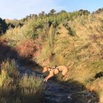 Profile Picture of Robert Gonzalez Paez (@rp_arcanhell) on Instagram