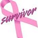 Profile Picture of Paula Irwin (@paulajirwin) on Pinterest
