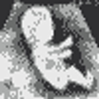 Profile Picture of Gregory Solis (@jadbiabelow) on Twitter