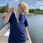 Profile Picture of George Wolfe (@wolfegeorge653) on Instagram