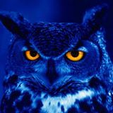 Profile Picture of nancy liggins (@Hootone1) on Pinterest