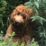 Profile Picture of Katherine Hackett (@k8ti) on Instagram