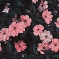 Profile Picture of Alexis Steele (@alexis-steele-32) on Quora