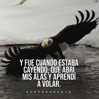 Profile Picture of Coreas Mauricio (@coreas.mauricio.9) on Facebook