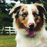 Profile Picture of Christian Levinsky (@christianlev511) on Instagram