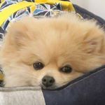 Profile Picture of 濱端大輔 (@alan_daisuke) on Instagram